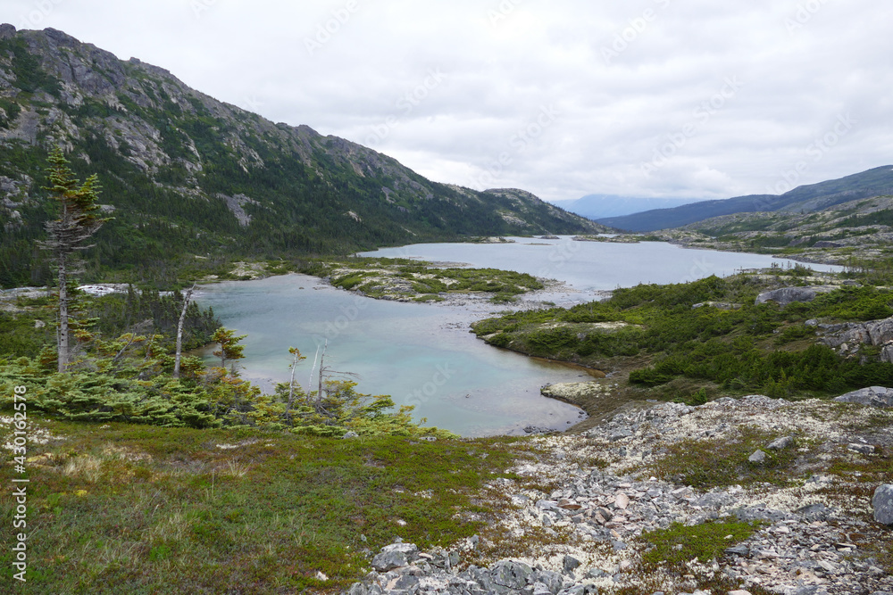 Famous Chilkoot Trail, beautiful alpine zone landscape, historic gold rush hiking route between Alaska and British Columbia, Canada