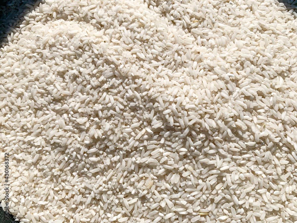 background of rice background of rice