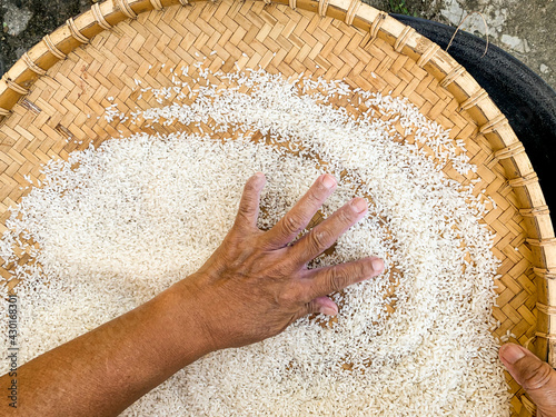 winnowing rice wit rattan tray basket. photo