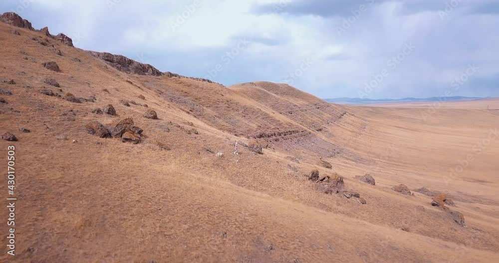 a girl with a labrador dog climbs a mountain dji a girl with a labrador dog climbs a mountain dji