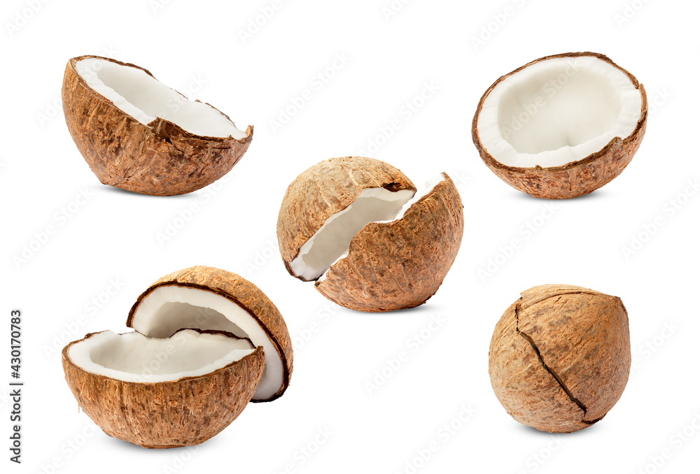 Collection of coconut isolated on white Background Collection of coconut isolated on white Background