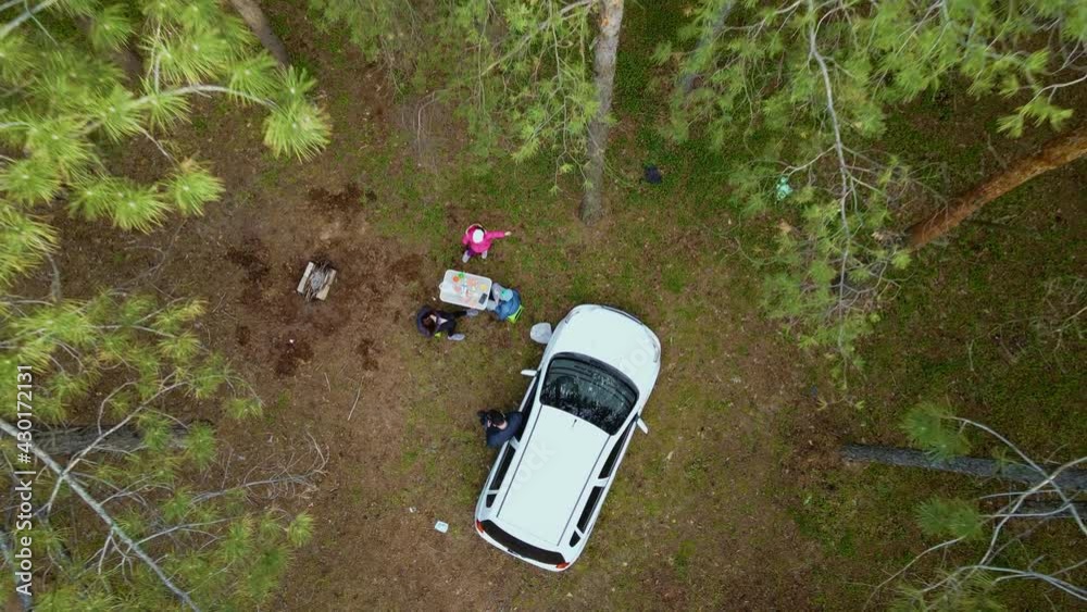 Cinematic aerial shot drone rises over father with mother and children resting in camping on nature during self isolation between high pines in coniferous forest at early spring. Concept of family