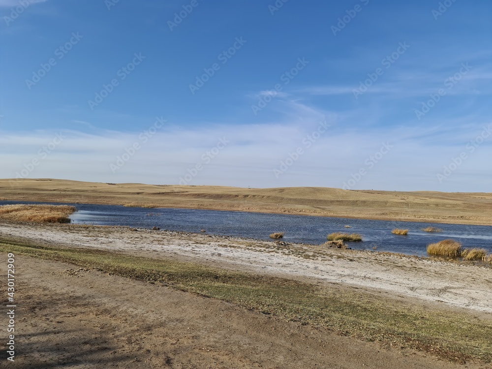 landscape in the desert