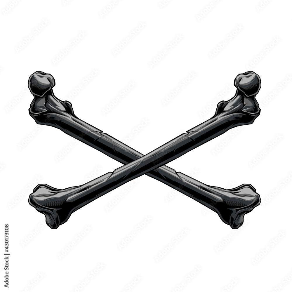 the bones that cross over the white surround