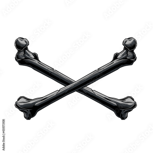 the bones that cross over the white surround