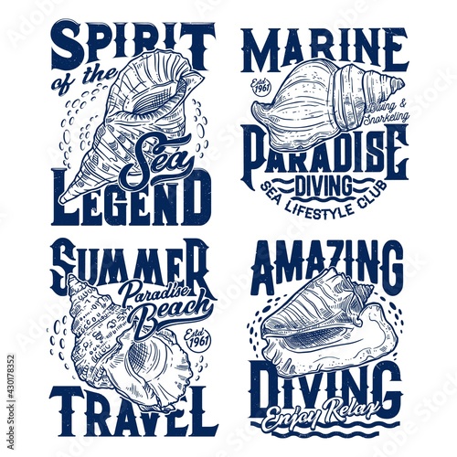 Horse, fighting or queen conch seashells t-shirt print template. Scuba diving, snorkeling and beach club apparel custom print with sketch vector sea snails, mollusks seashells and vintage typography