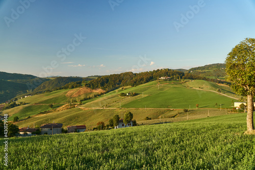 Early morning on the hills of Emilia Romagna  Italy - Italian landscape. 