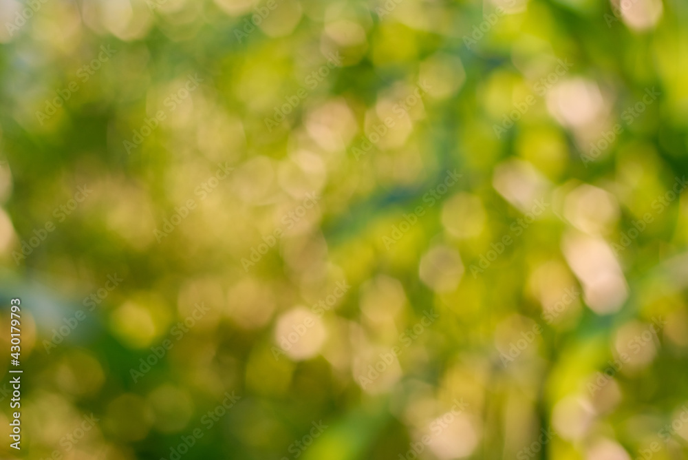 Green and yellow bokeh background Green and yellow bokeh background