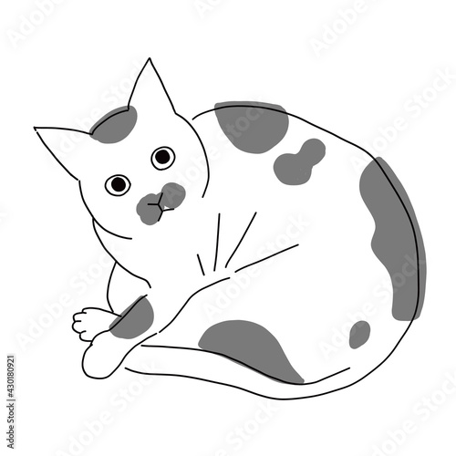 丸まっているぶち猫の全身イラスト