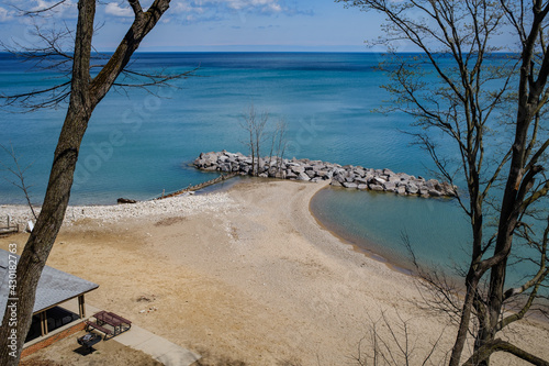tree on the beach