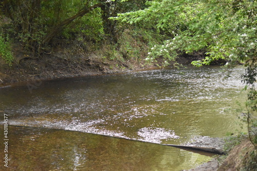 Photography river in the forest of Buckhurst Hill, Essex UK