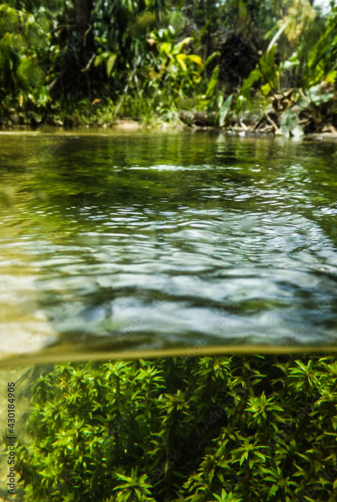 Amazon River Amazon River
