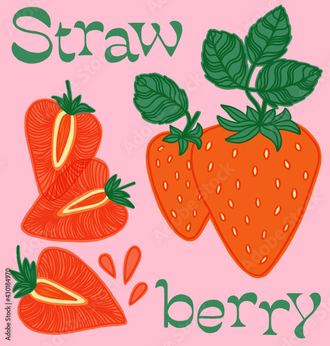 Strawberry Fruit Illustration
