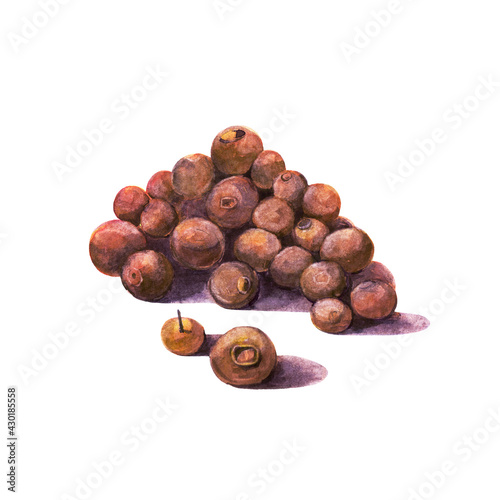 Tela The heap of allspice isolated on white background