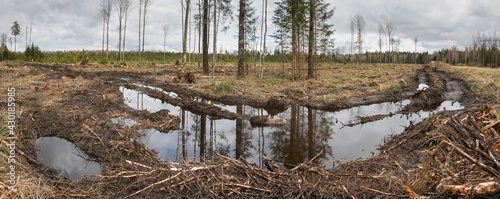 Panoramic view with the deep, water filled tracks in the edge of the huge and unsustainable forestry clear-cut area. Concept of deforestation and habitat loss