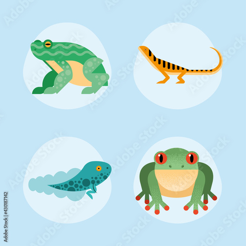 cute four amphibians