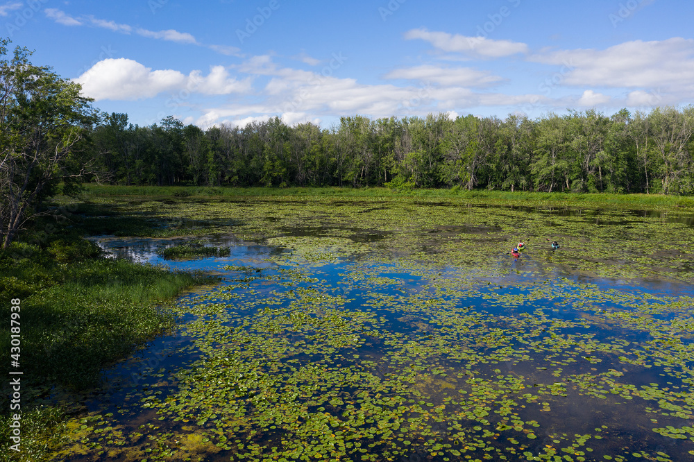 Grandfather, father and son kayaking in lily pads in the summer in Canadian wilderness