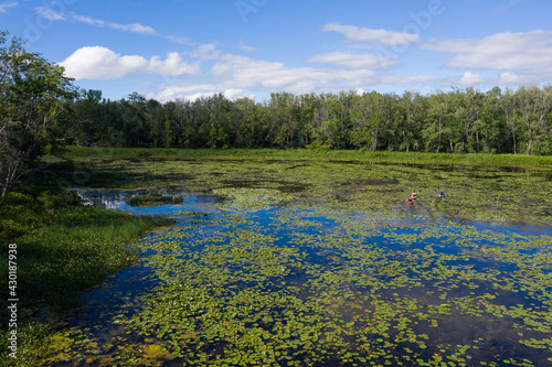 Obraz na płótnie Grandfather, father and son kayaking in lily pads in the summer in Canadian wilderness w salonie
