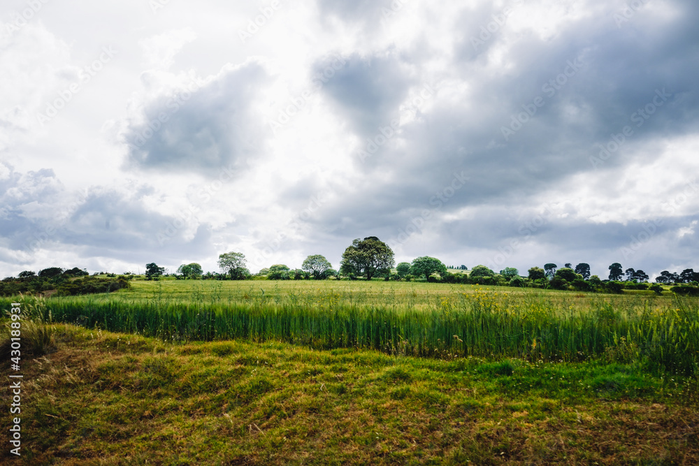 landscape with field and sky landscape with field and sky