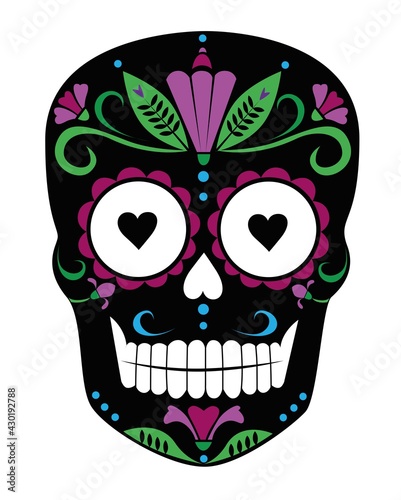 Skull in decorative patterns on a white background 