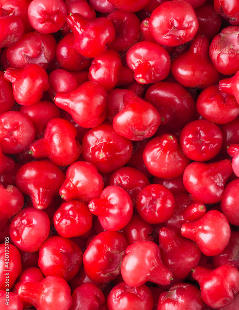 jambu or rose apple, bell-like shape fruit also called bell fruit or wax apple, shot in full frame,sri lanka juicy fruits texture, background jambu or rose apple, bell-like shape fruit also called bell fruit or wax apple, shot in full frame,sri lanka juicy fruits texture, background
