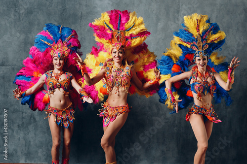 Women in brazilian samba carnival costume with colorful feathers plumage. photo
