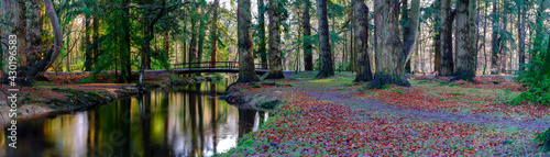 Autumn colours on the Black Water in the New Forest National Park, Hampshire, UK