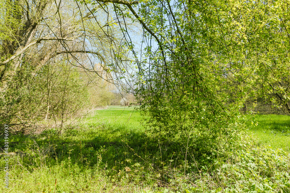 Frühling in Hermann-Löns-Park Hannover