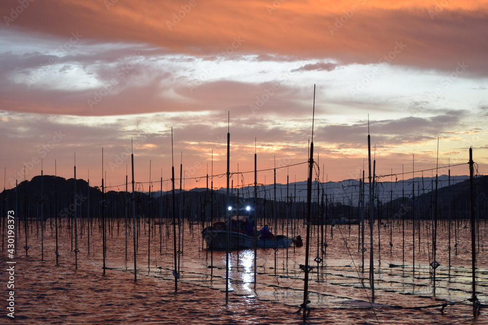 Fototapeta premium sunrise in the harbor