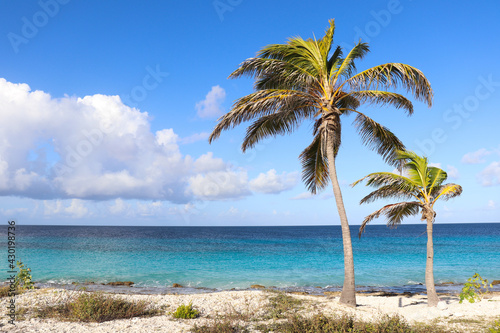 Coral beach with turquoise colour sea and palms.