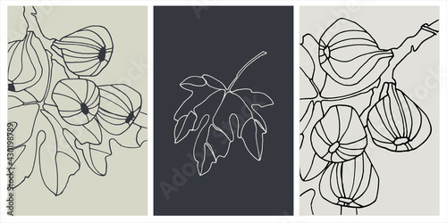 Decor printable art. Set of hand drawn vector illustrations of fig fruits on branches