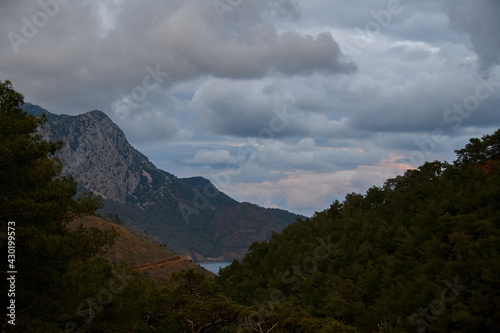 beautiful mountain landscape with green valley of evergreen coniferous trees and cloudy sky.