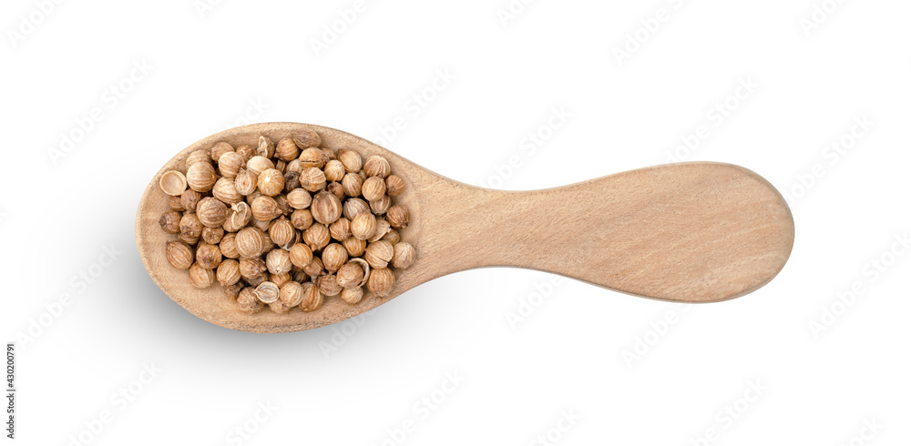 dried coriander seeds in wooden spoon isolated on white background ,include clipping path dried coriander seeds in wooden spoon isolated on white background ,include clipping path