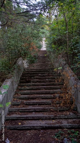 Fototapeta Naklejka Na Ścianę i Meble -  stairs in the forest Odzhonikidze in Sochi