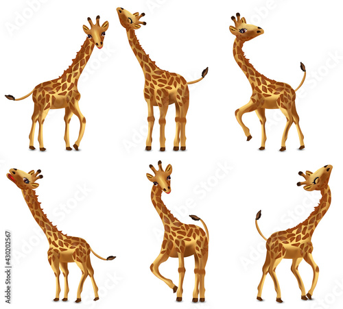 Happy Cartoon character Giraffe from different angles. Funny  Cute  smiling African animals. Vector illustration. 