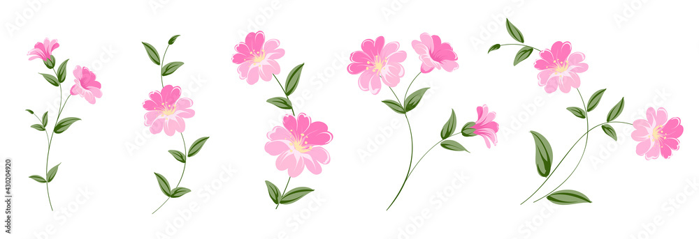 custom made wallpaper toronto digitalSet of differents linen flowers on white background.