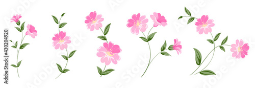 Wallpaper Mural Set of differents linen flowers on white background. Torontodigital.ca