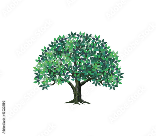 ecology tree with green leaves vector illustration