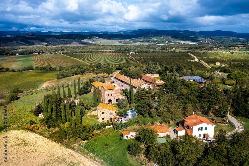 Aerial view, estate with olives and cypress trees, Cinigiano, Grosseto Province, Tuscany, Italy