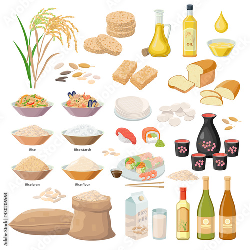 Rice products, food from rice, oil, flour, bran, starch, milk, Puffed rice, popped rice cakes, Sake, wine , bread, sushi, chips, B nh tr ng, paper, kernels etc. Vector set of infgraphic elements.
