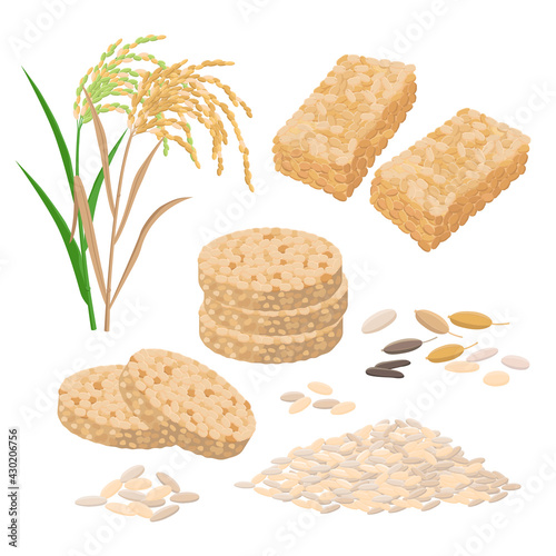 Puffed rice and popped rice food, cakes, rice heap and plant. Set of vector illustrations isolated on white background.