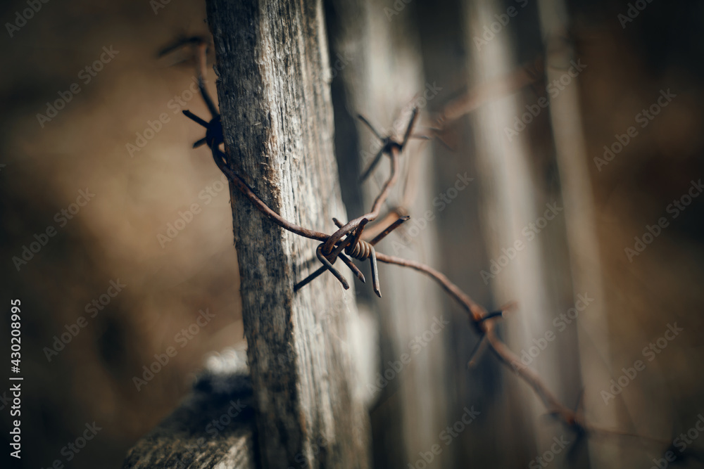 Background with wooden fence and rusty barbed wire. Background with wooden fence and rusty barbed wire.