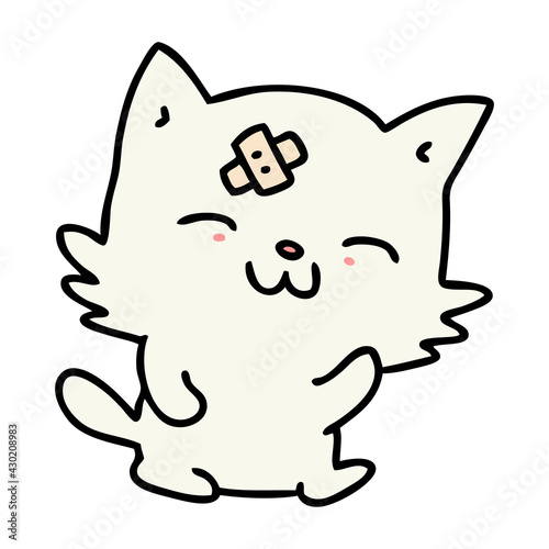 cat with sticking plaster on forehead