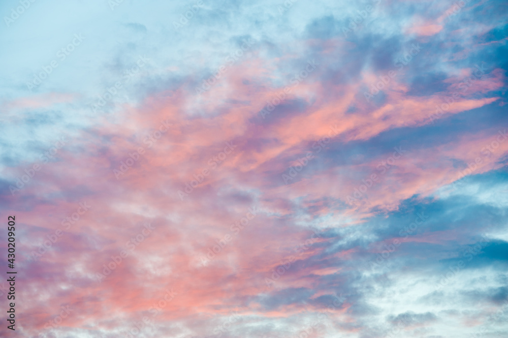 Pink clouds in the beautiful summer sunset  sky