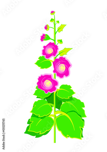 malwa