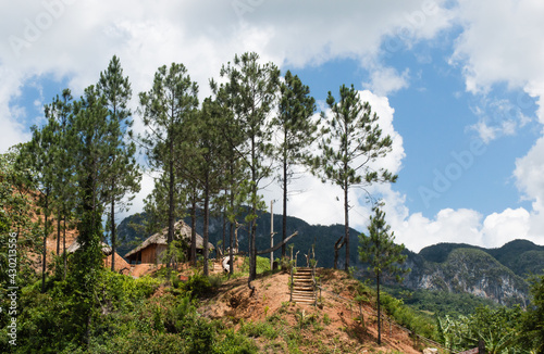 Obraz na plátně Antler, Mogote Landscape in Viñales, Pinar del Rio, Cuba