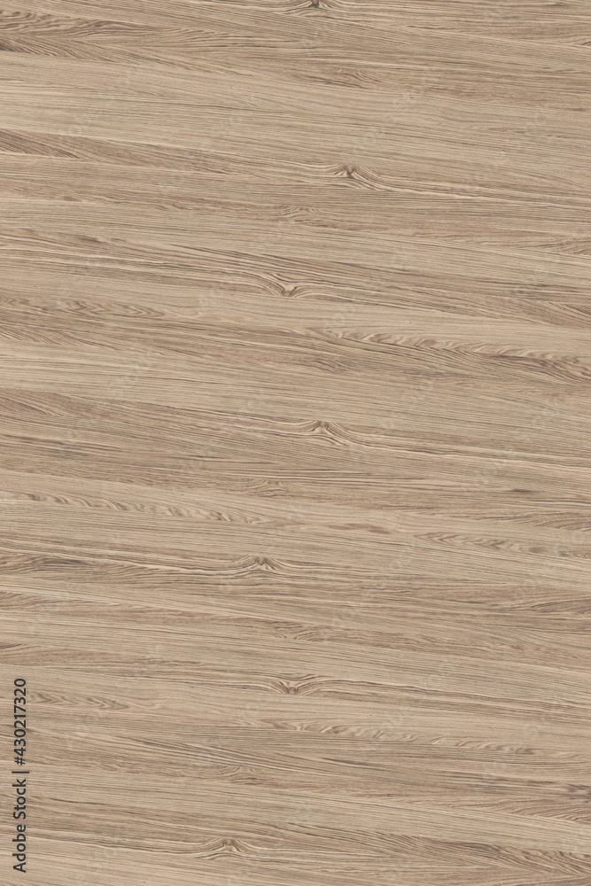 Obraz premium brown oak tree timber wood surface texture background wallpaper