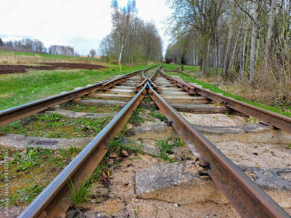 Fototapeta premium railroad tracks in the countryside