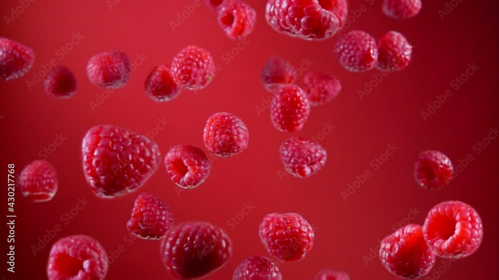 Fresh raspberries are flying up and rotating in the air on a wine red background in slow motion Fresh raspberries are flying up and rotating in the air on a wine red background in slow motion