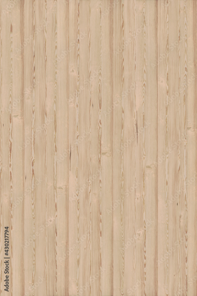 Fototapeta premium brown pine tree wood structure texture background pattern